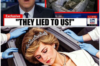 27 Years Later: Princess Diana’s Tomb Was Opened — What They Found Shocked Everyone