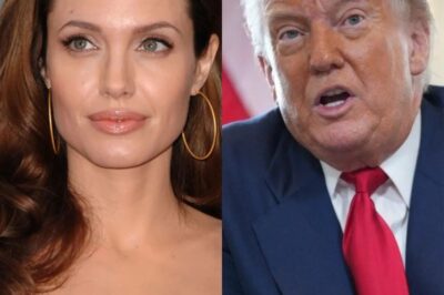 The Price of Principles: Angelina Jolie, Political Leverage, and the Battle for Global Truth
