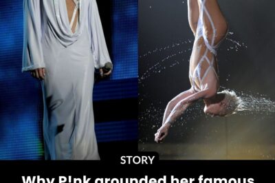 Why P!nk grounded her famous stunts for nearly 2 years — And her defiant, high-flying comeback after the 2010 rigging failure nearly ended her career.