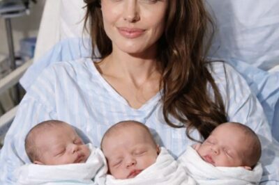 Angelina Jolie Announces Birth of Triplets, Fans Ecstatic